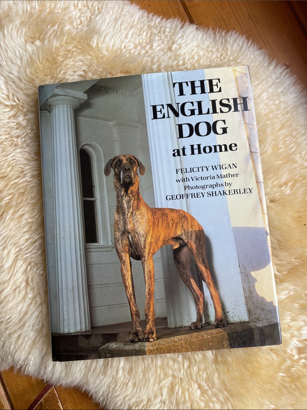 Vintage 80’s British Dog Book
